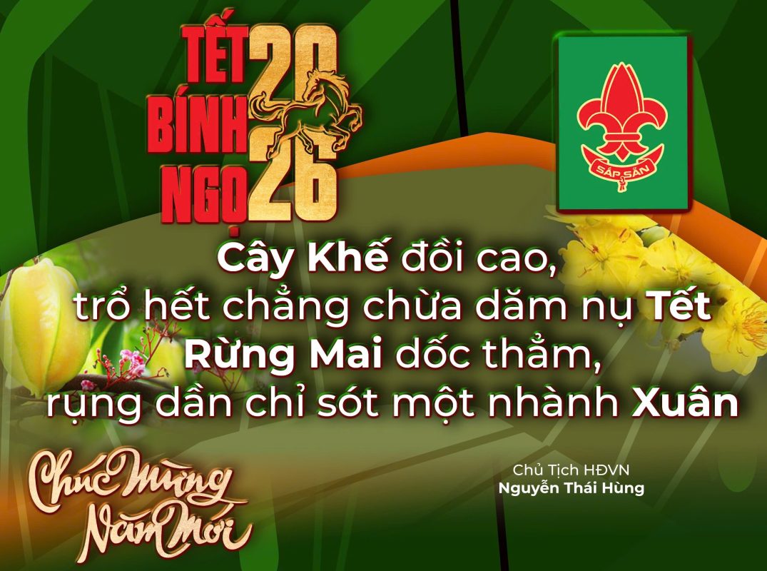 Banner Hướng Đạo Việt Nam