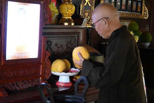 HDVN-chuc-tet-2024-84